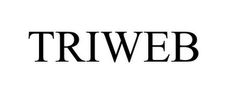 TODAY'S TRADEMARK - TRIWEB